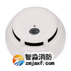 西門(mén)子FDO181點(diǎn)型光電感煙火災(zāi)探測(cè)器清洗